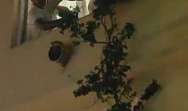 Camdan sarktı ikna edilemeyince müdahale edildi