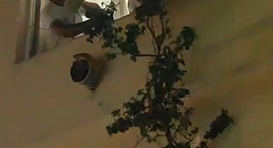 Camdan sarktı ikna edilemeyince müdahale edildi