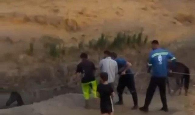 Çamura saplanan atı köylüler kurtardı