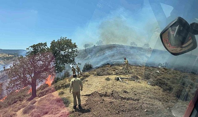 Çanakkale'de makilik alanda yangın