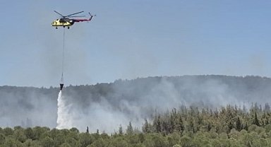 Çanakkale'de orman yangını