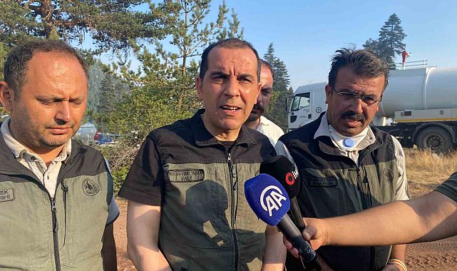 Çankırı Valisi Taşolar: "Yangının ilerleyişi durduruldu"