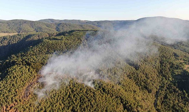 Çankırı'daki orman yangını 6 buçuk saatlik çalışmayla kontrol altına alındı