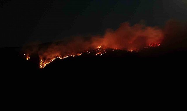 Çankırı'daki orman yangını havadan görüntülendi