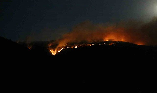 Çankırı'daki orman yangınına ekiplerin müdahalesi sürüyor