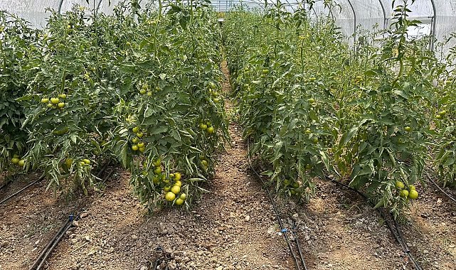 Çaycuma'da üretim güçlerini birleştirdiler