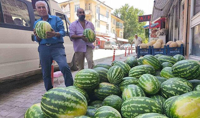 Çemişgezek'te 'Hıdıroz' karpuzu tezgahlardaki yerini aldı