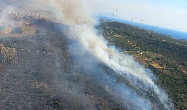 Çeşme ve Ödemiş'te orman yangınları devam ediyor