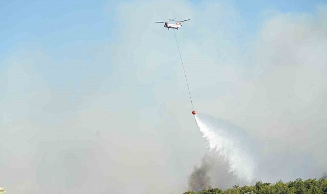 Çeşme'de 2 mahalle tahliye edildi