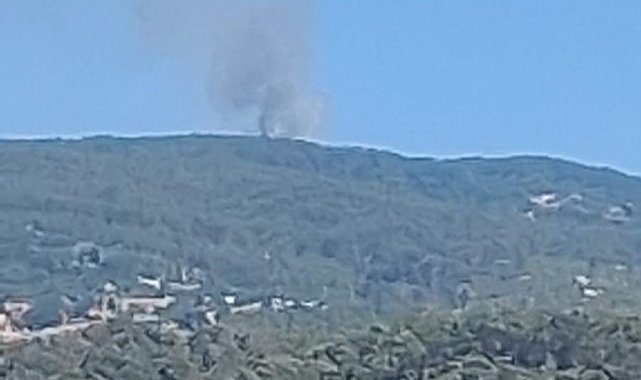 Çine'de orman yangını