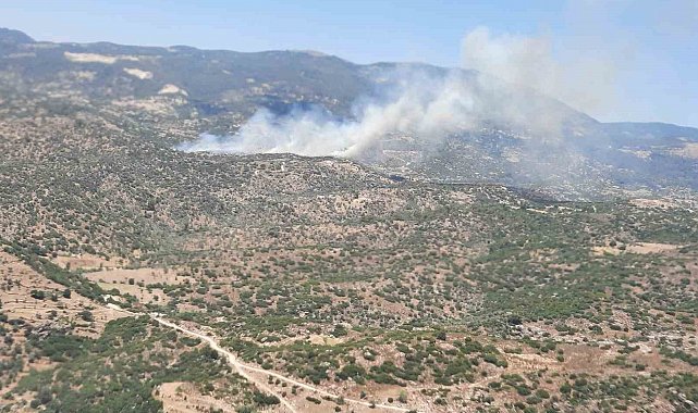 Çine'deki yangın kontrol altına alındı