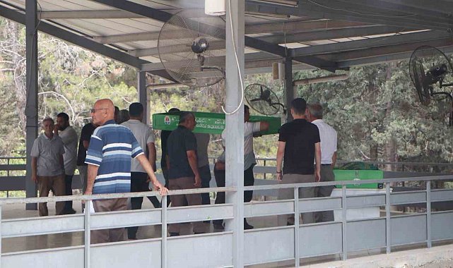 Cinnetin bıraktığı acı: Anne ve kızı yan yana, baba ayrı noktaya defnedildi