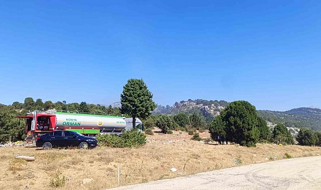 Çöplükte başlayan yangın ormana sıçradı