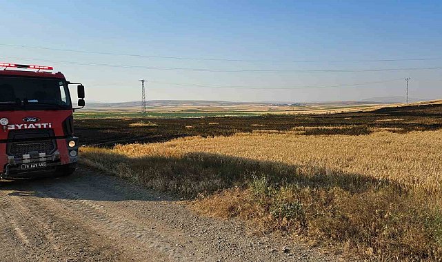 Çorum'da 15 dönüm buğday ekili tarla alevlere teslim oldu