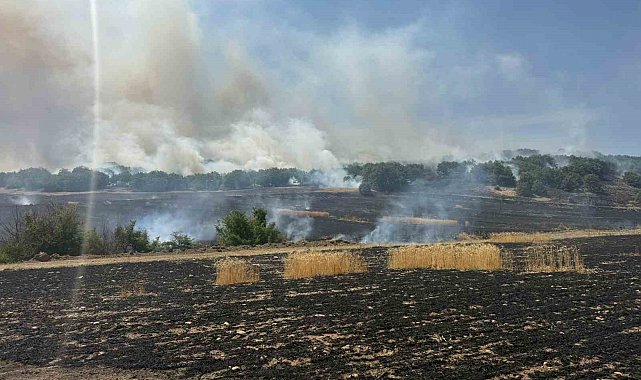 Çorum'da tarlada çıkan yangın ormanlık alana ulaşmadan kontrol altına alındı