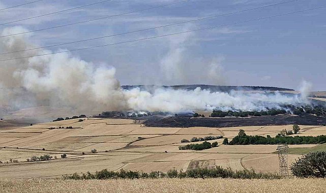 Çorum'da tarlada çıkan yangında 200 dönüm ekili arazi kül oldu