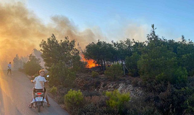 Cunda Adası'ndaki orman yangını büyümeden söndürüldü
