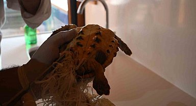 Çuvala dolanmış halde yaralı bulunan Caretta caretta denizle buluştu