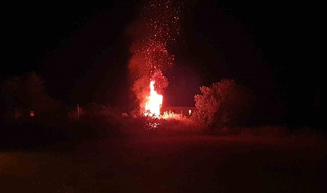 Datça'da otluk alandaki yangın büyümeden söndürüldü