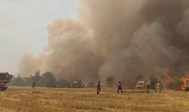 Denizli'de çıkan orman yangını kontrol altına alındı