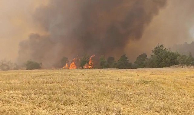 Denizli'de devam eden orman yangınına havadan ve karadan müdahale sürüyor