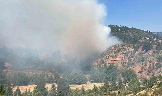 Denizli'deki orman yangını kısmen kontrol altına alındı