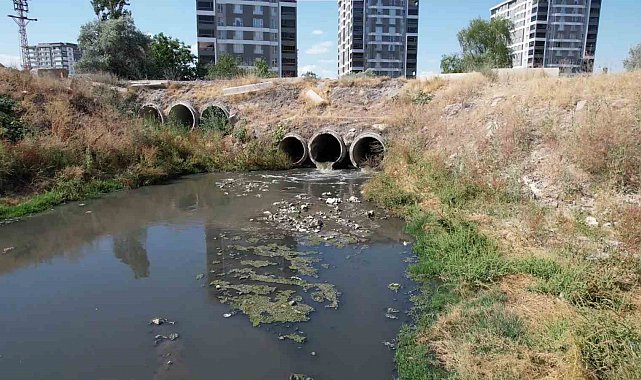 Dere yatağından yayılan kötü koku mahalleyi bezdirdi