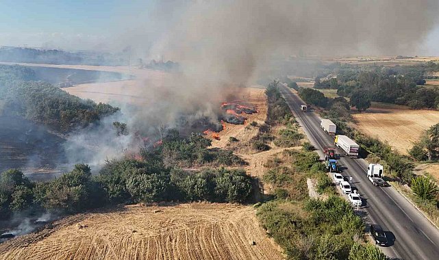Devasa alevler uluslararası yolu trafiğe kapattı