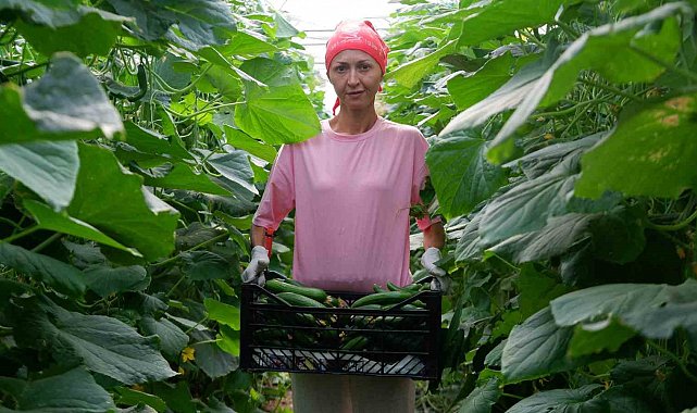 Devlet desteğiyle kurduğu serada taleplere yetişemiyor