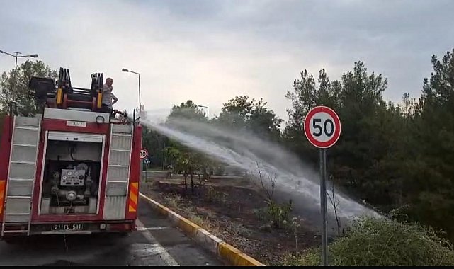 Dicle Üniversitesi'ndeki örtü yangını söndürüldü