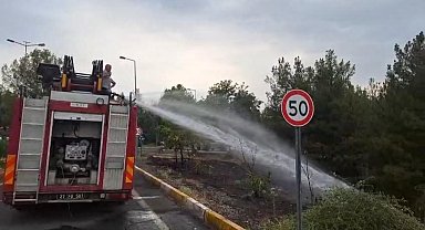 Dicle Üniversitesi'ndeki örtü yangını söndürüldü