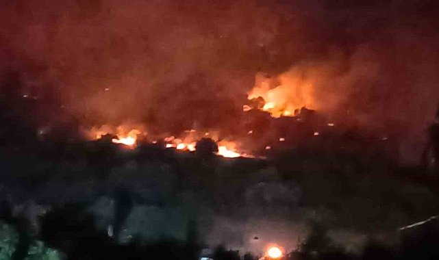 Dikili'de orman yangını: Çanakkale yolu ulaşıma kapatıldı