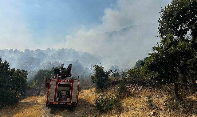 Diyarbakır'da çıkan orman yangınına 9 saattir müdahale devam ediyor