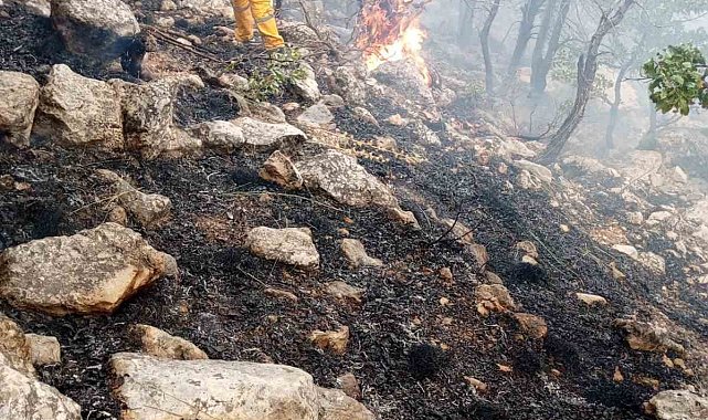 Diyarbakır'da orman yangınına helikopter destekli müdahale sürüyor