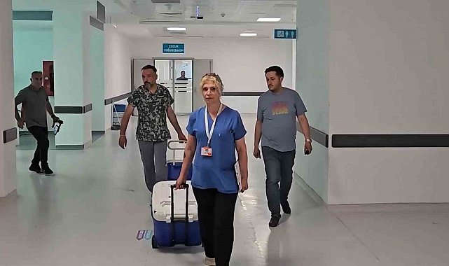 Doç. Dr. Kaçmaz: "Organ bağışında canlı nakilde dünya lideri, kadavrada gerideyiz "