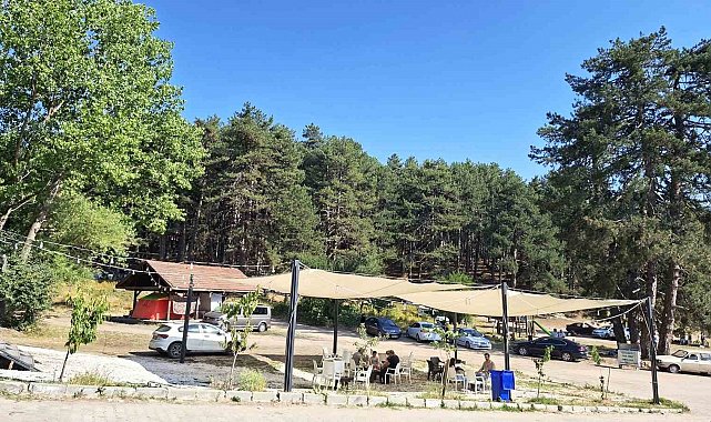 Doğal güzelliklere sahip Simav Gölcük Yaylası ziyaretçi akınına uğruyor