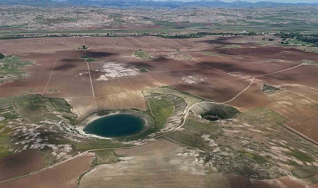 Doğanın gözlerinde kene sessizliği