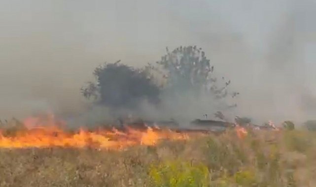 Doğanyol'da bahçe yangını