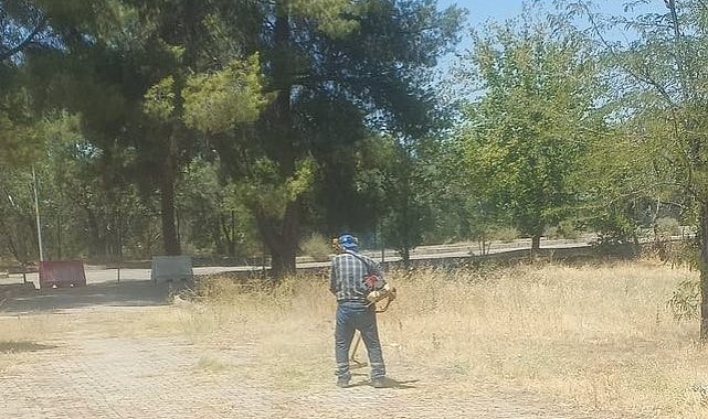 Dünyaca ünlü antik kentte kuru otlar temizlendi