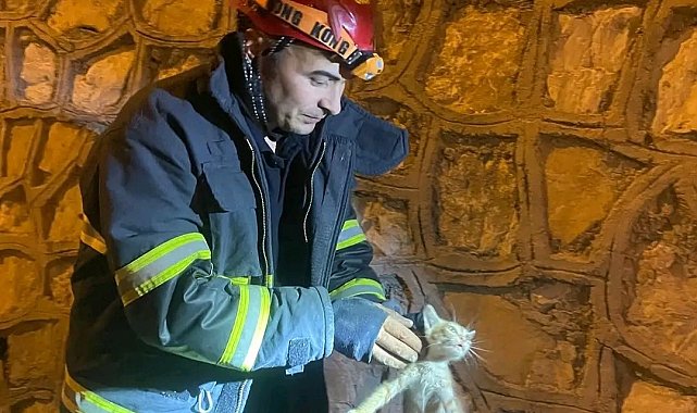 Duvar arasında mahsur kalan yavru kediyi itfaiye kurtardı