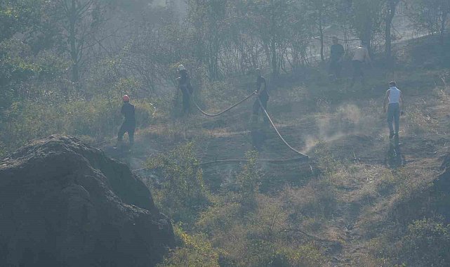 Düzce-Sakarya sınırındaki yangına havadan ve karadan müdahale sürüyor