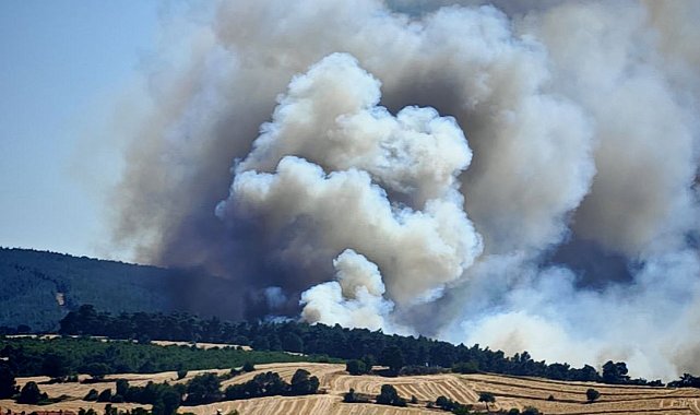 Edirne Keşan'da orman yangını