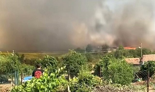 Edirne'de 30 dönümlük buğday tarlası alev alev yandı