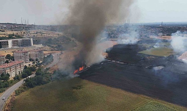 Edirne'de anız yangını yerleşim bölgesine metreler kala söndürüldü