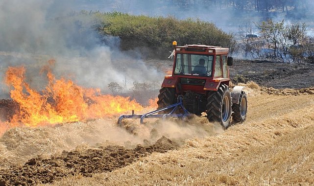 Edirne'de orman ve anız yangınına havadan ve karadan müdahale sürüyor