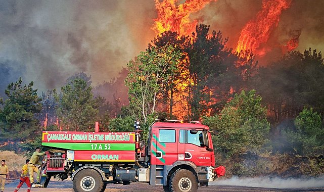 Edirne'de orman ve anız yangınında alevler metrelerce yükseldi