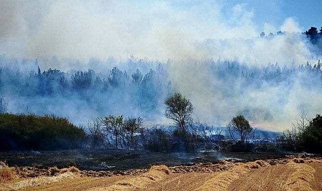 Edirne'deki orman ve anız yangını kontrol altına alındı