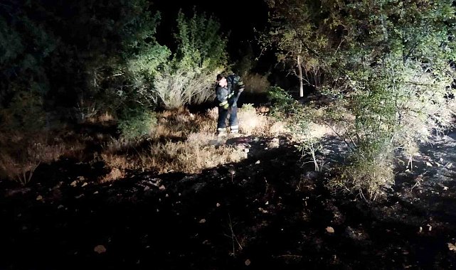 Ekipler seferber oldu, örtü yangını ormana sıçramadan söndürüldü