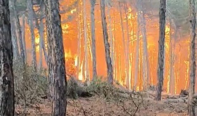 Ekiplerin yangının ortasında kaldığı anlara ait görüntüler ortaya çıktı