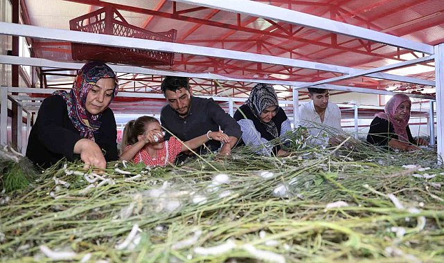 Elazığ tarihinin en büyük ipek böcekçiliği çiftliğini kurdu: Onlarca yeni üreticiye ilham oldu